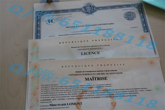 《约克大学文凭：开启全球认可的高等教育之旅》