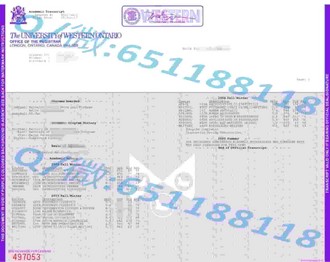 《惠灵顿理工学院文凭：开启国际教育新篇章的关键凭证》