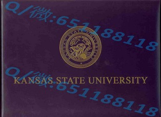 东安格利亚大学文凭：解锁国际认可的学术成就之路
