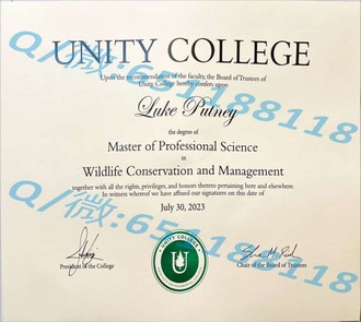 《荷兰屯特大学文凭：揭开顶尖教育机构的学术成就与全球认可度》