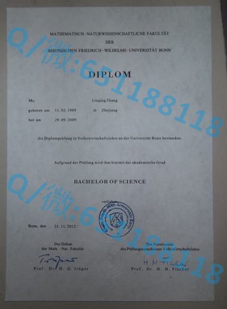 《瑞尔森大学文凭：揭秘加拿大顶尖学府的毕业证书魅力》