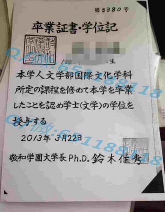 《南非开普敦大学文凭：全球认可的教育品质，成就无限可能》