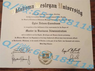 《东安格利亚大学文凭：开启你的学术与职业双重飞跃的秘密武器》