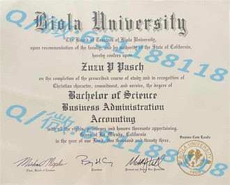《斯特兰米尔斯大学文凭：开启国际教育新篇章的秘密武器》