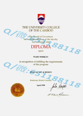 《揭秘英国开放大学文凭：学历含金量与职场竞争力的完美结合》