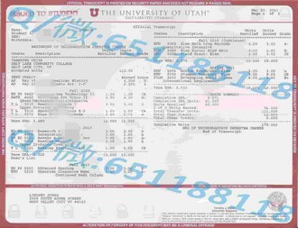 《斯文本科技大学文凭：开启职业生涯的黄金钥匙，掌握未来无限可能》