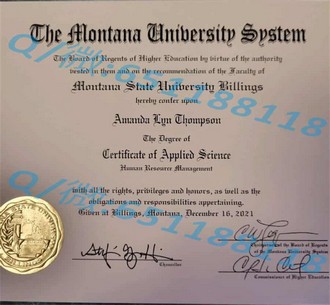 《阿比蒂彼特米斯卡学校文凭：揭秘这所神秘学府的独家文凭之谜》