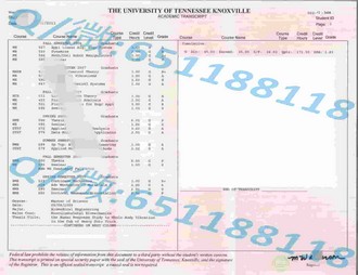 《布兰登大学文凭：解锁未来职场的关键钥匙》