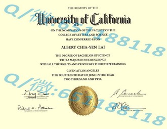 《英属哥伦比亚大学文凭：开启你的国际化教育之旅》