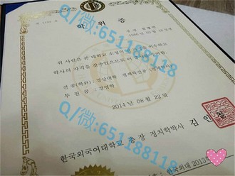 奥塔哥理工学院文凭：开启你的全球就业通行证