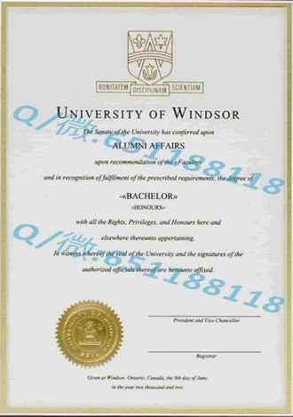 《新南威尔士大学文凭：开启全球职场精英之路的敲门砖》