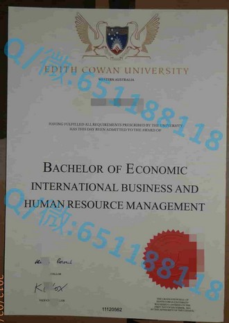 《揭秘桑德兰大学文凭：国际认可的教育品质与职业前景》