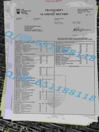 《谢菲尔德哈兰姆大学文凭：开启艺术与创意领域新篇章的秘密武器》