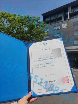 《利莫瑞克理工学院文凭：开启你职业生涯的全球通行证》