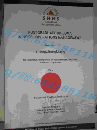 《贝尔法斯特女王大学文凭：开启国际学术生涯的黄金钥匙》